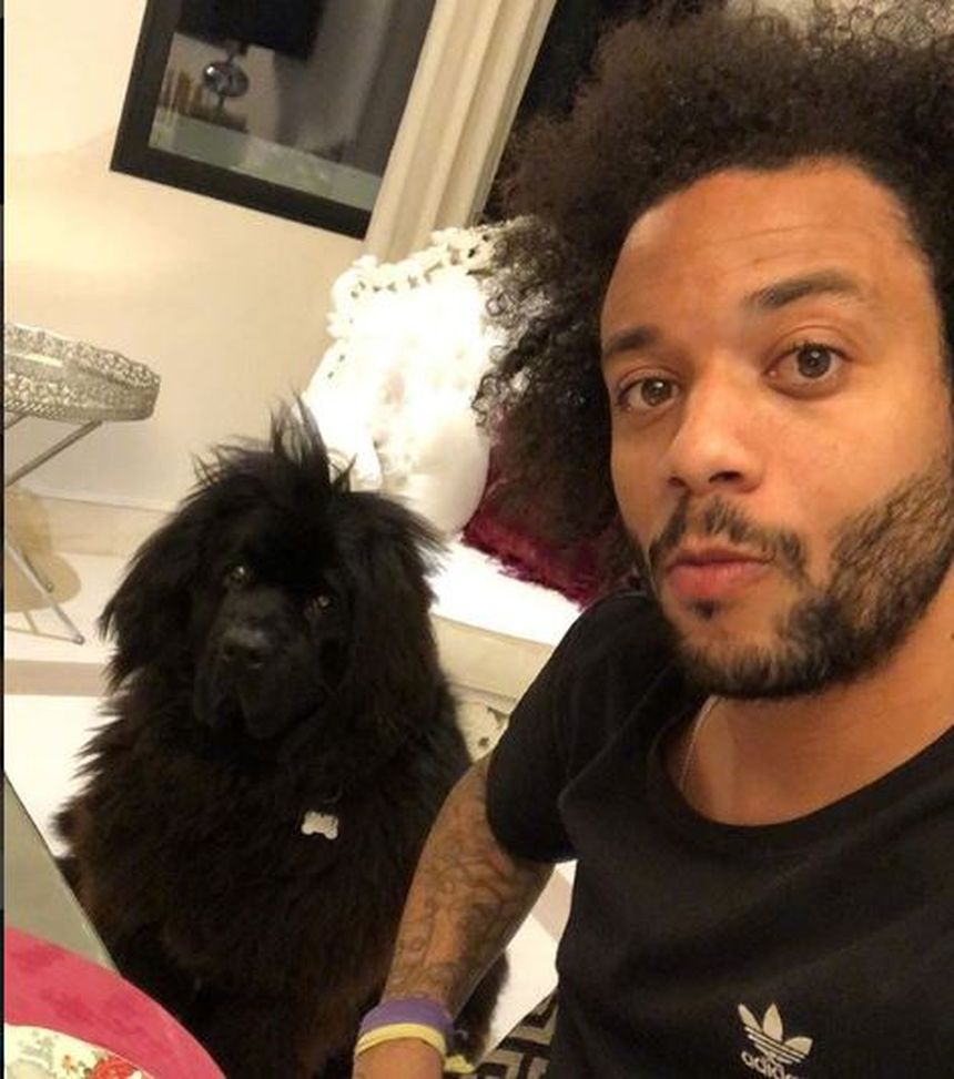 Marcelo, l’incredibile litigio con l’allenatore e l’addio ufficiale al Fluminense- immagine 2