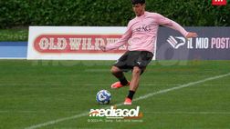 Calciomercato Palermo, sprint Damiani: Ternana tenta sorpasso sul Pescara. Dettagli