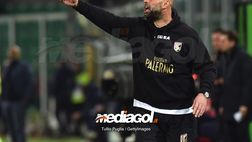 Serie B, Stellone: “Sorpresa Catanzaro, Parma e Venezia le favorite. Il Palermo…”