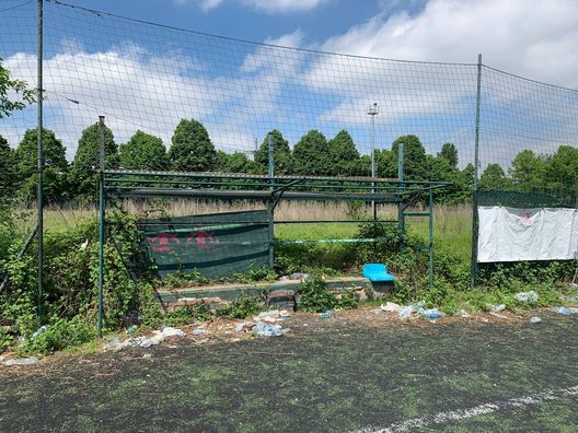 Cairo e il valore del Toro: botta e risposta con l’esperto- immagine 3