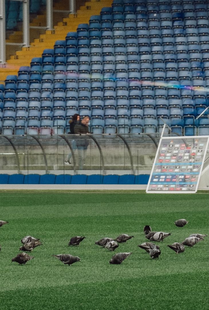 Genoa-Napoli, il Ferraris è pronto ad ospitare il match di stasera! – LA GALLERY - immagine 3