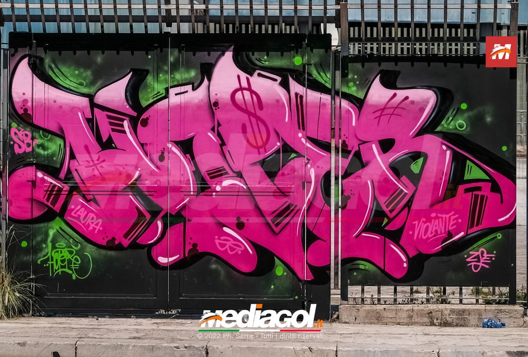 FOTO: I nuovi murales dello stadio ‘Renzo Barbera’ di Palermo (Gallery) - immagine 4