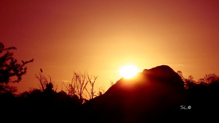 Mi fa un baffo, il male - immagine 1