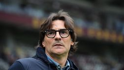 Toro, è già arrivato domani