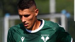 Amichevole con la Sampdoria, i biglietti