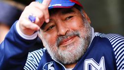 Diegologia, Maradona diventa un corso di laurea