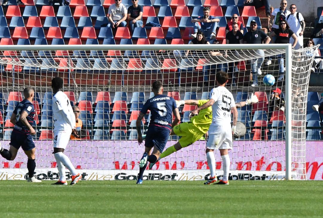 FOTO Cosenza-Palermo 1-1, 33ª giornata Serie B 2023-2024 (GALLERY) - immagine 22