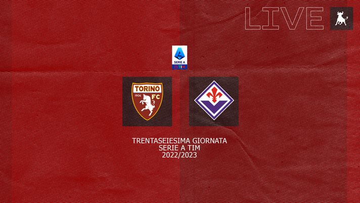 FINALE! Torino-Fiorentina 1-1 - immagine 1