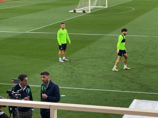 FOTO VN – C’è anche il doppio ex Joaquin al Franchi per la rifinitura - immagine 1