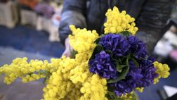 FOTO – ACF celebra l’8 marzo: “Auguri a tutte le donne, viola e non”