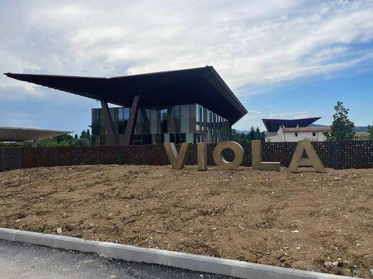 FOTO VIOLANEWS Casini: “Viola Park, la Fiorentina ha pensato a tutto. I dettagli del ritiro”- immagine 2