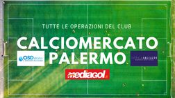 CALCIOMERCATO PALERMO, IL BORSINO: TRATTATIVE, ACQUISTI E CESSIONI