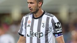 Chiellini: “Per Spalletti la Nazionale un coronamento di una grande carriera”