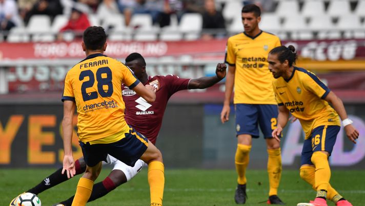Torino-Verona 2-2, l’analisi dei gol: l’immobilismo regna sovrano- immagine 1
