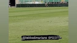 VIDEO Palermo, Di Mariano corre verso il rientro: siparietto al “Barbera”