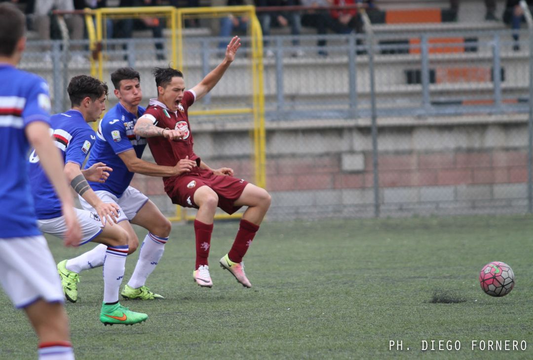 Fotogallery – Primavera, Sampdoria-Torino 1-0 - immagine 8