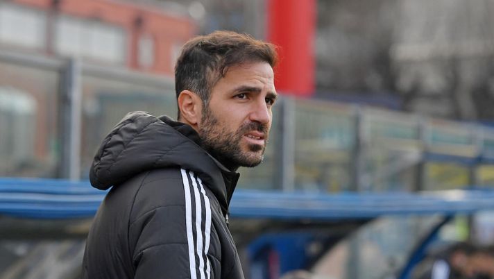 Como, Fabregas: “Paz? Se il Real non lo ricompra, resta. E non lo vendiamo nemmeno per 50mln” - immagine 1
