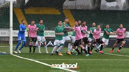Palermo, domenica il big match al “Barbera” contro l’Avellino: la scheda dei campani