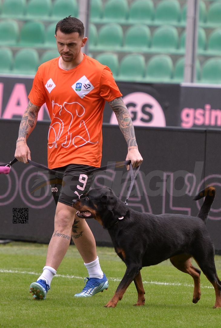 FOTO Palermo-Modena 4-2, 21ª giornata Serie B 2023-2024 (GALLERY) - immagine 23