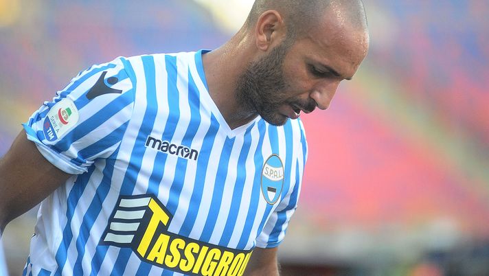 La probabile formazione della Spal: ballotaggio Schiattarella-Valdifiori - immagine 1