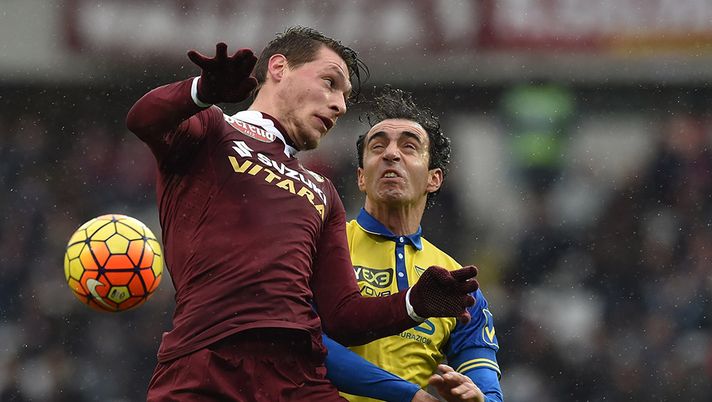 Belotti