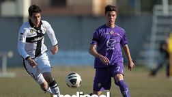 Calciomercato Palermo, Gds: “Idee Venuti e Pierozzi. Sansone, Caso e Zerbin…”