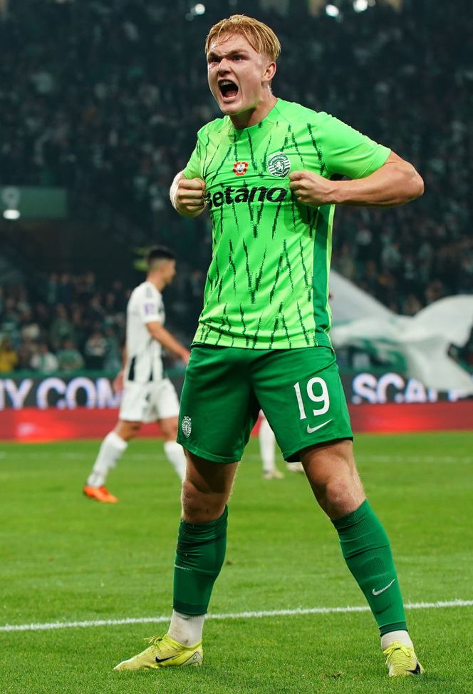 Milan e la questione attaccante: la scelta tra Vlahovic e Harder- immagine 2