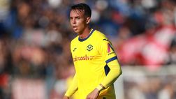 Giovane, la situazione. Perché può restare al Verona (fino a giugno)