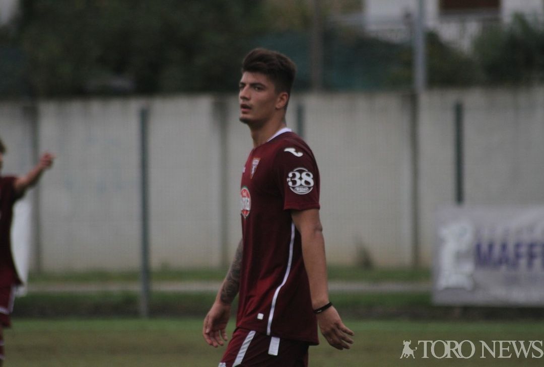 Cancello Torino Primaera