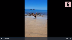 Video – Palleggia così in riva al mare: questo bimbo incanta il web