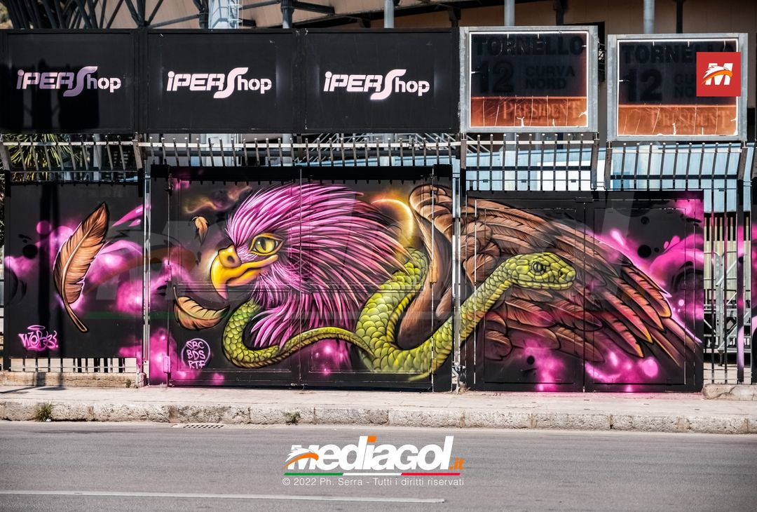 FOTO: I nuovi murales dello stadio ‘Renzo Barbera’ di Palermo (Gallery) - immagine 12