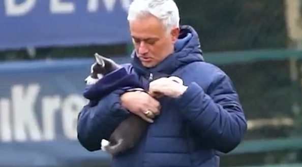 José Mourinho, tecnico del Fenerbahce, con in braccio un cucciolo di Husky di Saint-Maximin José Mourinho, tecnico del Fenerbahce, con in braccio un cucciolo di Husky di Saint-Maximin