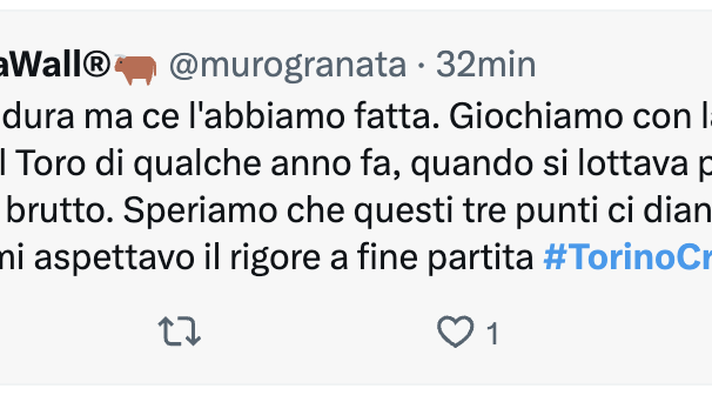 Torino-Cremonese 1-0, le reazioni social: “È stata dura ma ce l’abbiamo fatta” Torino-Cremonese 1-0, le reazioni social: “È stata dura ma ce l’abbiamo fatta” - immagine 1