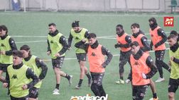 FOTO Palermo, verso Monopoli: seduta mattutina allo Sport Village. La Gallery