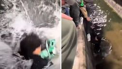 Sassuolo in Serie A: un tifoso in festa precipita nel fossato | VIDEO