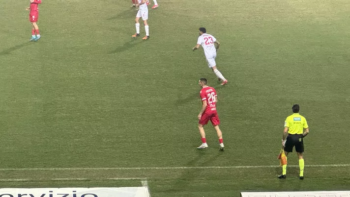 FINALE | PADOVA-GIANA ERMINIO 3-0 (3′ Valente, 70′ Fusi, 84′ Buonaiuto) - immagine 1