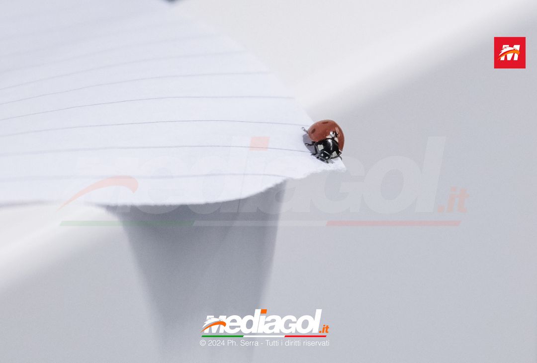 FOTO PALERMO, verso il Venezia: Michele Mignani in conferenza stampa (GALLERY) - immagine 26