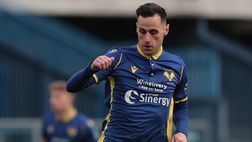Verona-Torino, le formazioni ufficiali