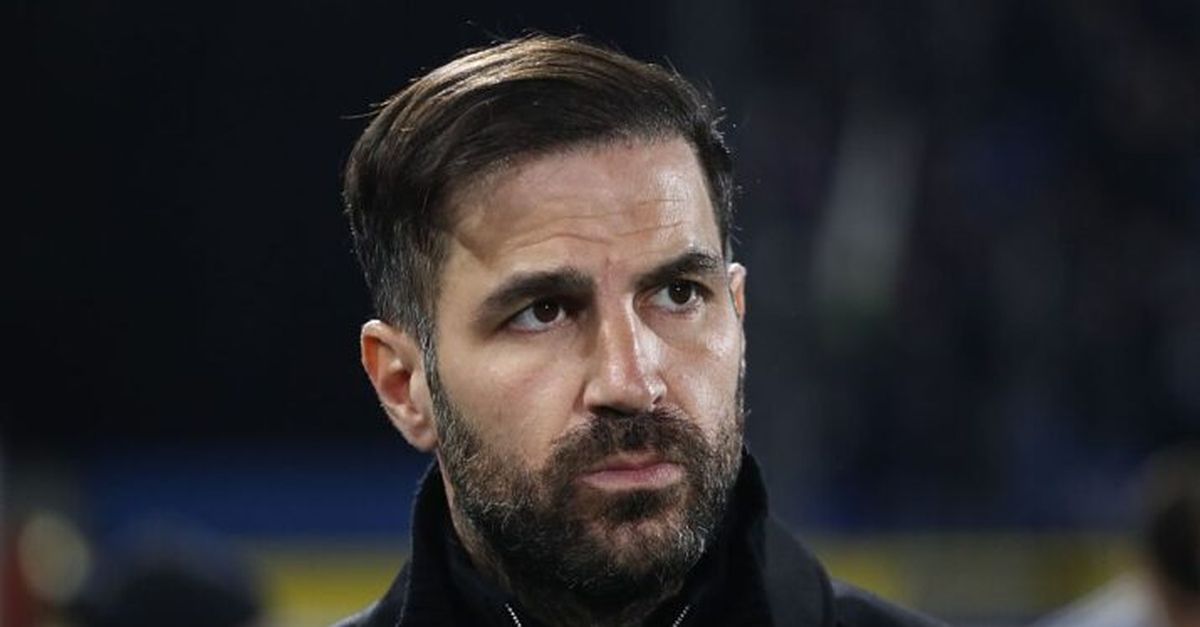 Como, Fabregas: "Il Pisa è una squadra viva, dovremo stare attenti. Diao è cresciuto molto"