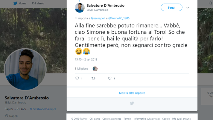 Verdi al Torino, l’affetto dei tifosi del Napoli. E c’è chi non lo avrebbe ceduto - immagine 1