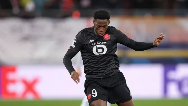 david napoli osimhen
