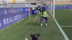 VIDEO – La piccola Ginevra corre verso babbo Mandragora a fine partita