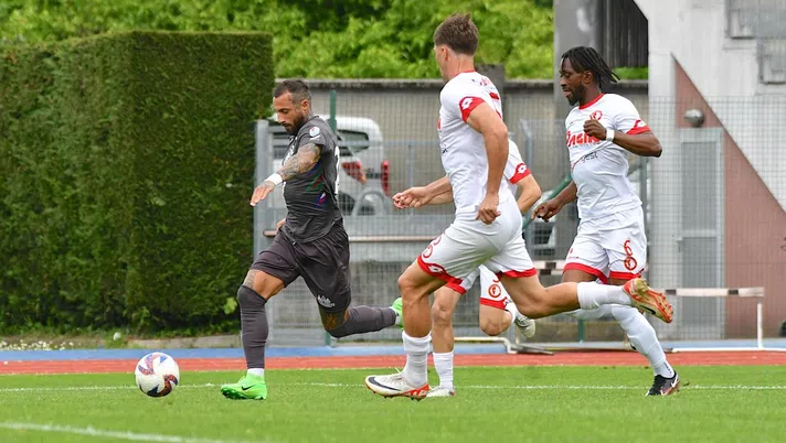 Campodarsego in finale playoff, battuta la Dolomiti Bellunesi - immagine 1