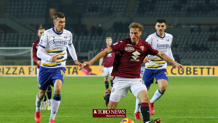 Torino Verona Vojvoda