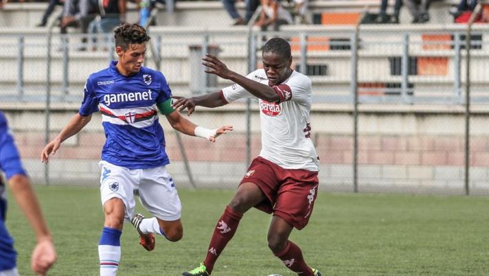 Primavera, tutto pronto a Toro – Samp - immagine 1