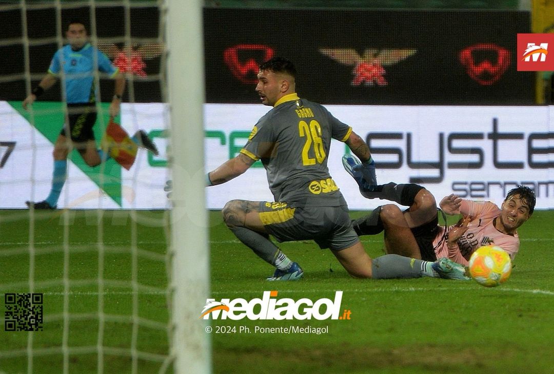 FOTO Palermo-Modena 4-2, 21ª giornata Serie B 2023-2024 (GALLERY) - immagine 8