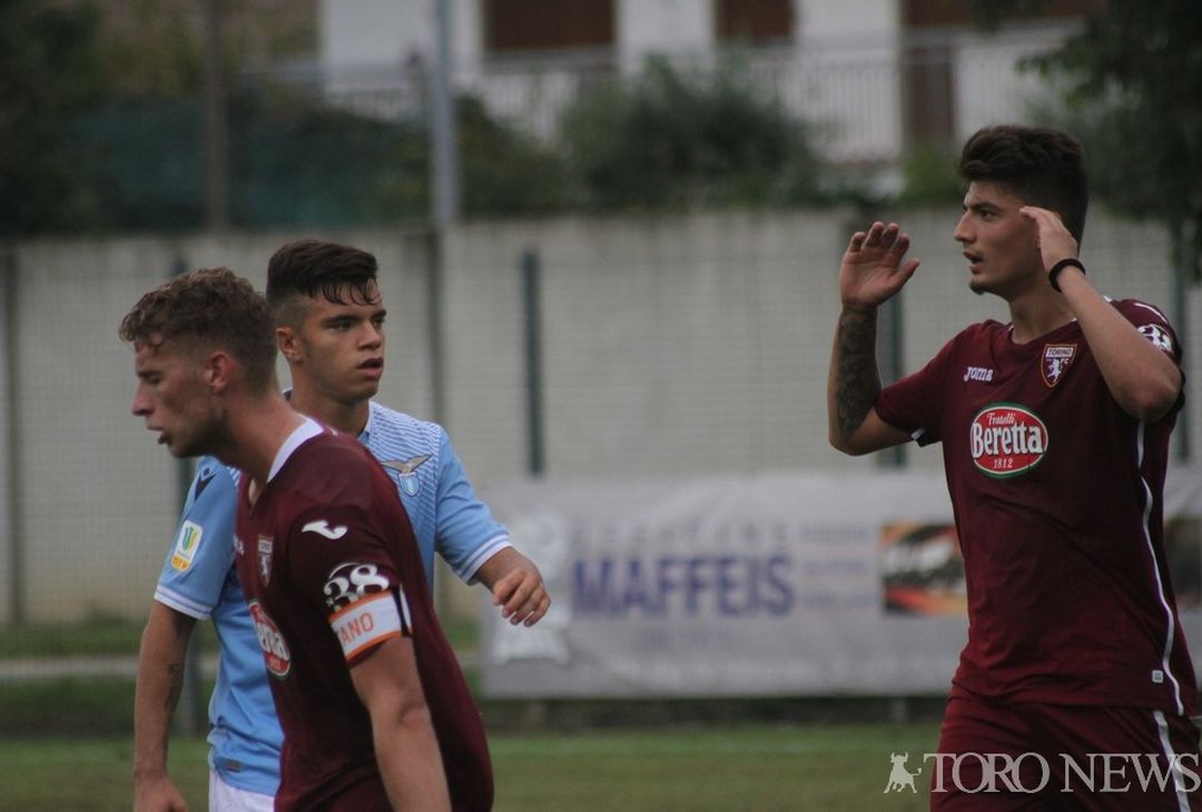 Cancello e Siniega Torino Primaera