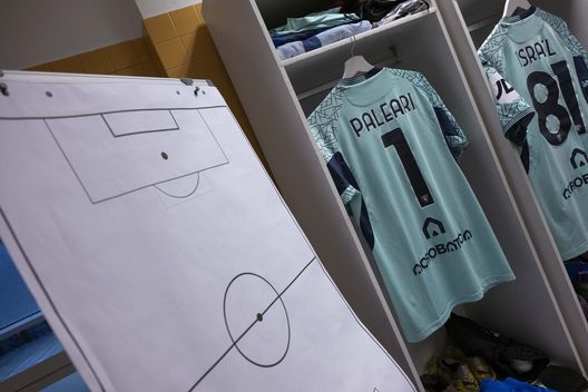 Fiorentina-Torino, le ultime dai campi: le parole dei protagonisti- immagine 3