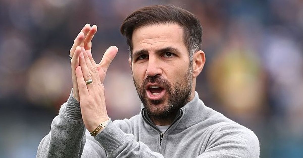 Como, Fabregas: "Marassi mi ricorda la Premier League, Diao e Douvikas stanno bene"