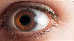 A sbagliare siamo bravissimi da soli